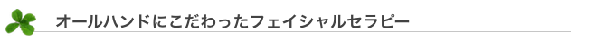 オールハンドにこだわったフェイシャルセラピー 埼玉県川口市のエステ プティリーフ