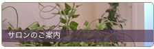 サロンのご案内